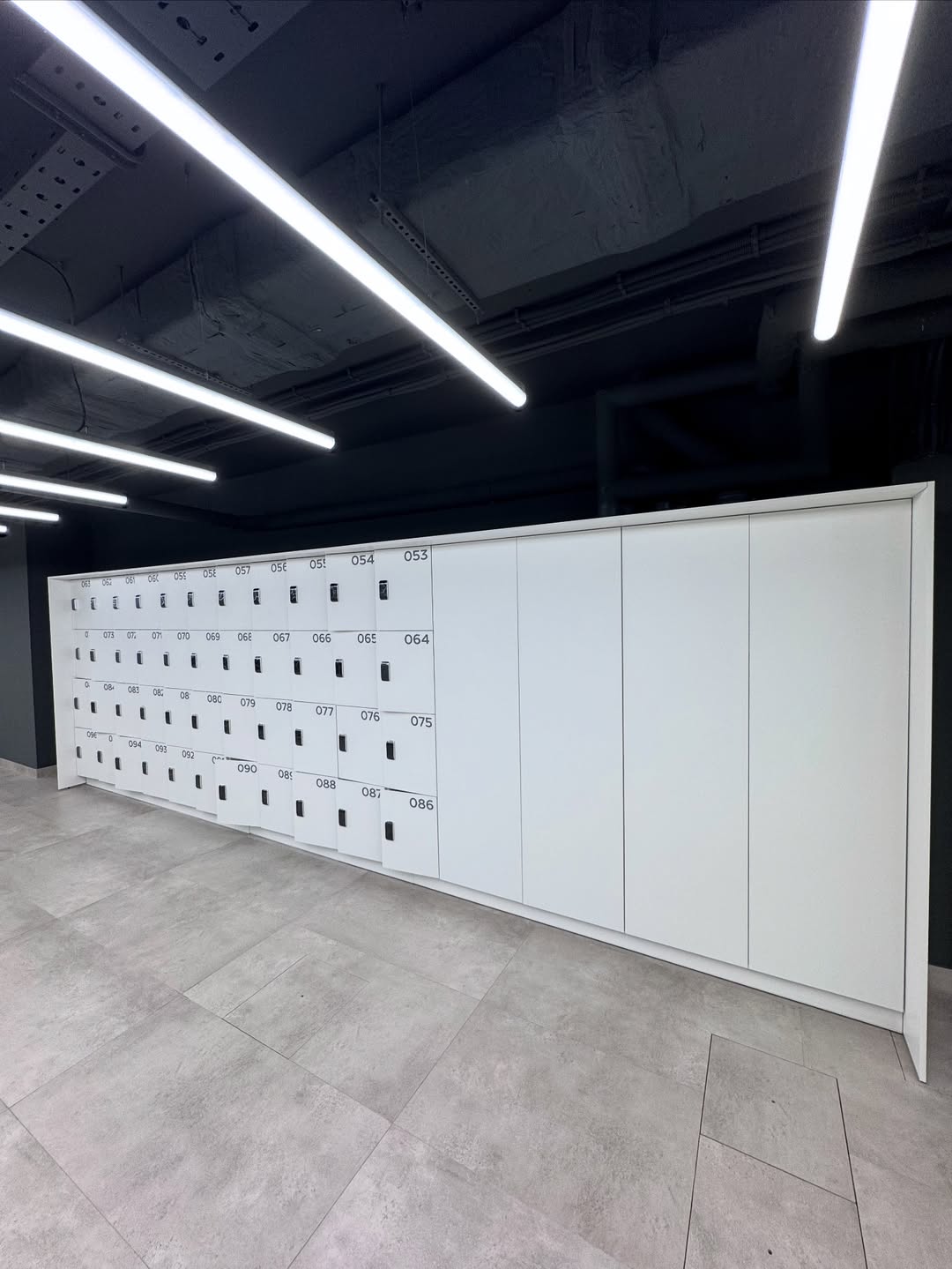 Система хранения дляспорт-зала. Корпус и фасад из ЛДСП. Умные замки.